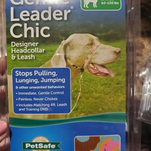 Gentle Leader in fun donut pattern